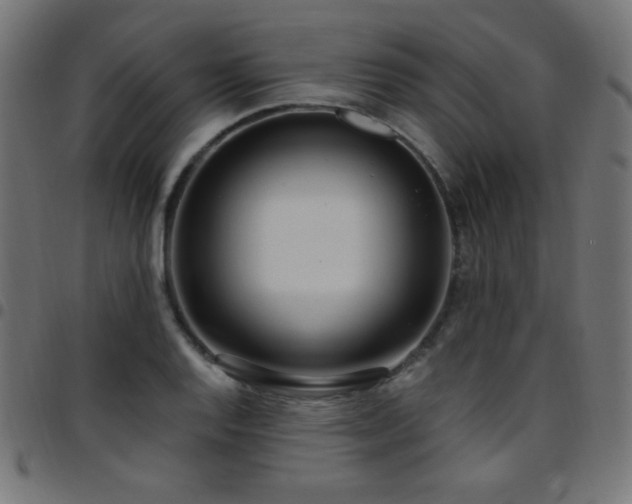 X0000097751128200803071242