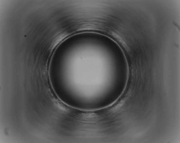 X0000097751129200803071242