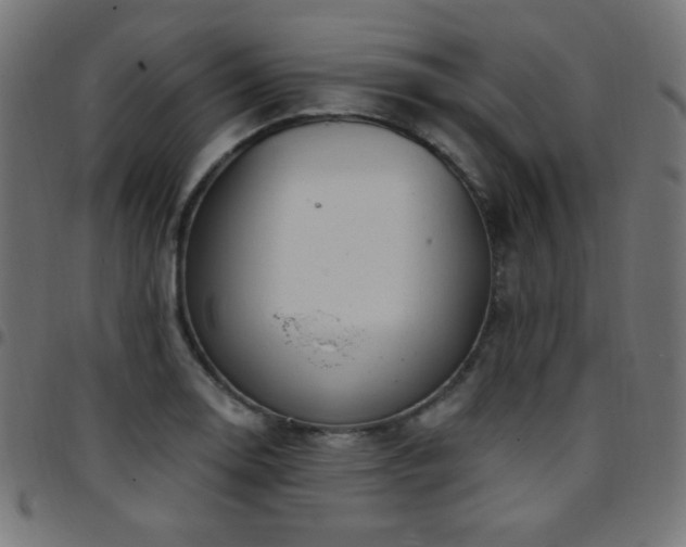 X0000097751130200803071242
