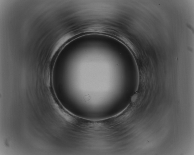 X0000097751131200803071242
