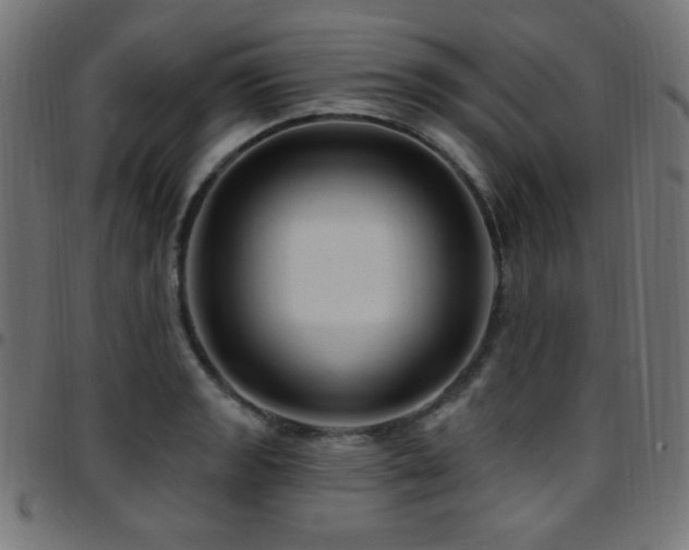 X0000097751133200803071242