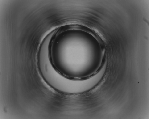 X0000097751134200803071242