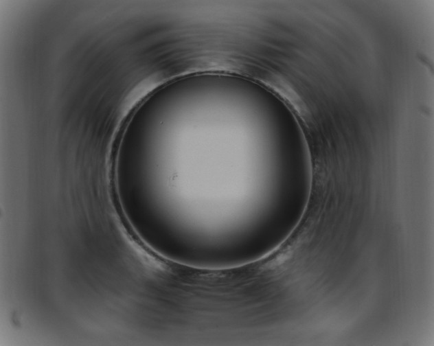 X0000097751135200803071242