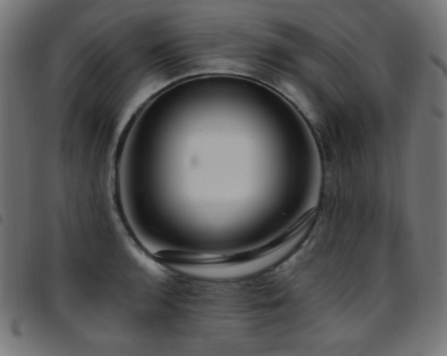 X0000097751136200803071242