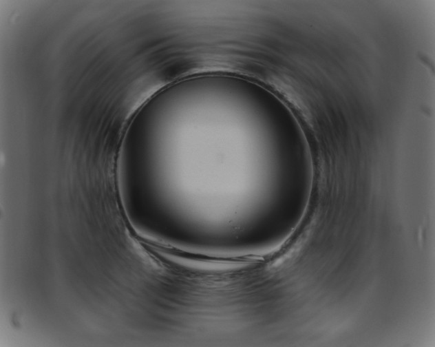 X0000097751137200803071242