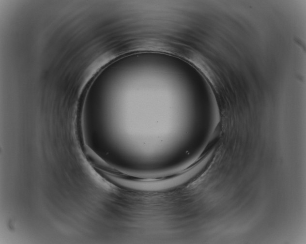 X0000097751139200803071242