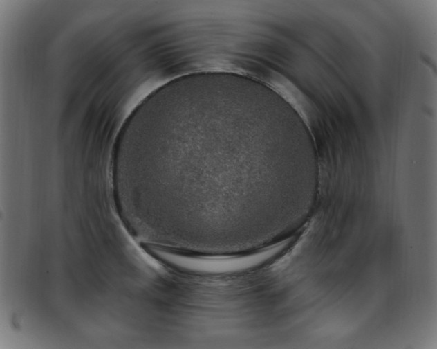X0000097751141200803071242