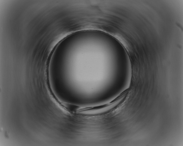X0000097751142200803071242