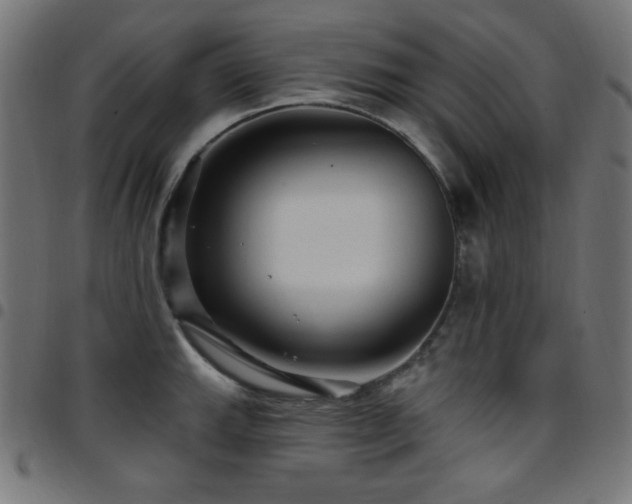X0000097751143200803071242