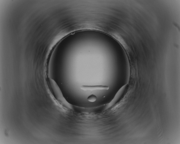 X0000097751144200803071242