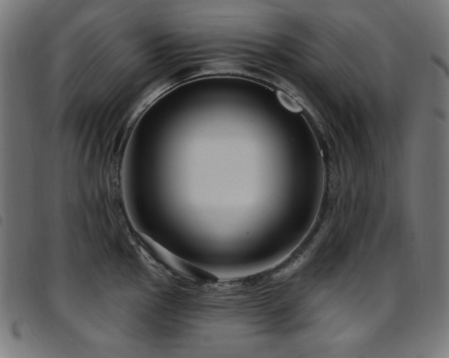 X0000097751145200803071242