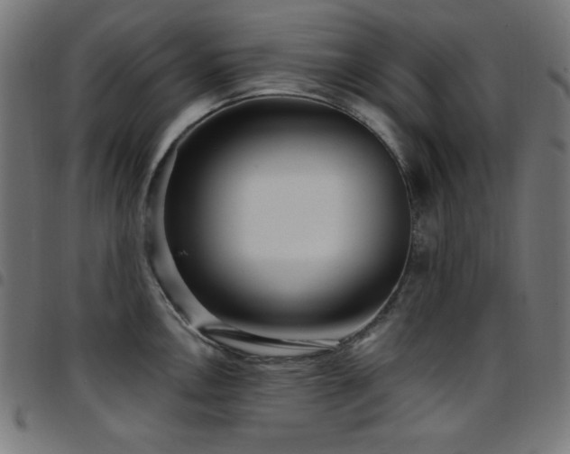 X0000097751146200803071242