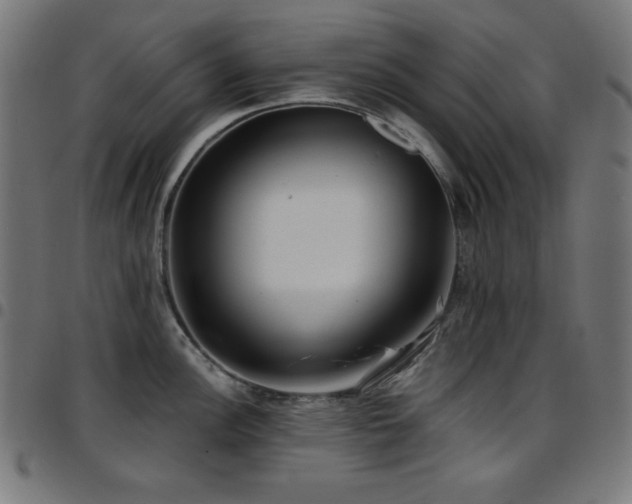 X0000097751148200803071242