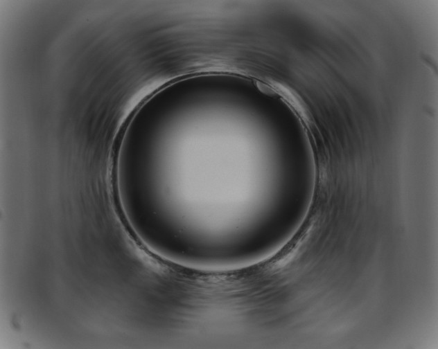 X0000097751149200803071242