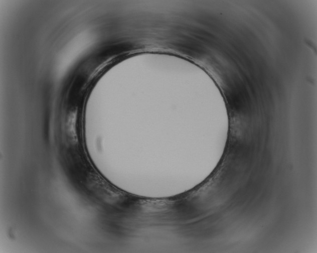 X0000097751150200803071242