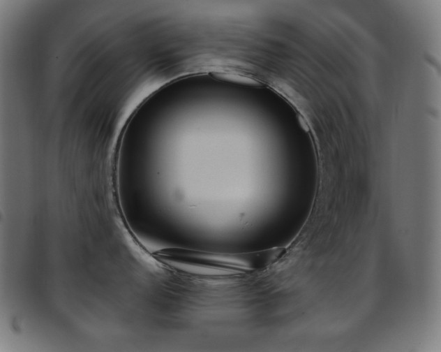 X0000097751152200803071242