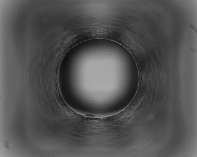 X0000097751153200803071242