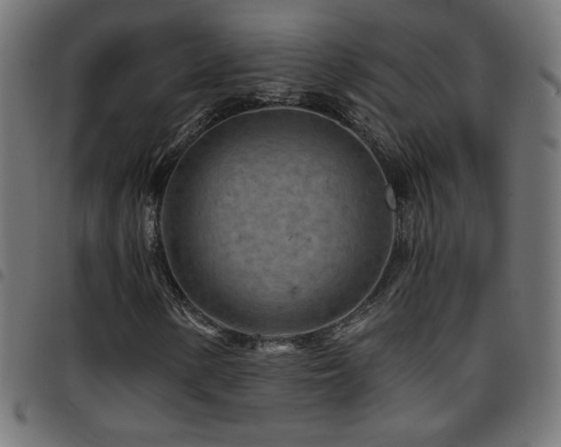 X0000097751154200803071242