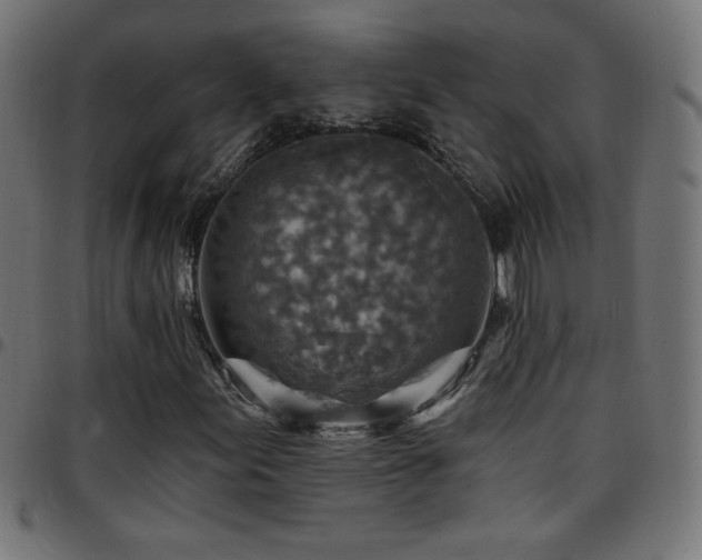 X0000097751155200803071242