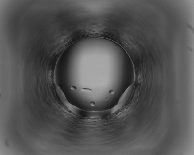 X0000097751156200803071242