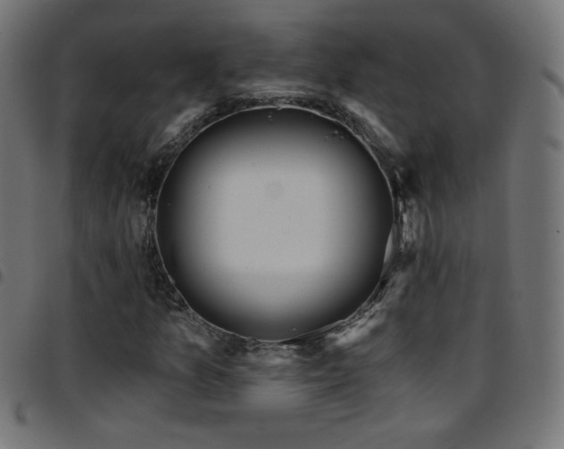 X0000097751157200803071242