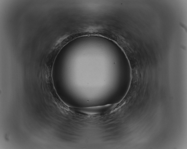 X0000097751158200803071242
