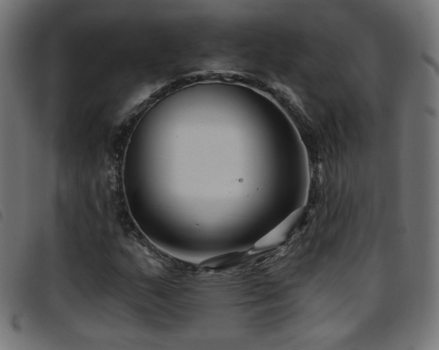 X0000097751159200803071242