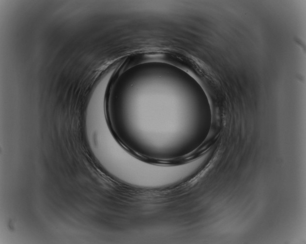X0000097751161200803071242
