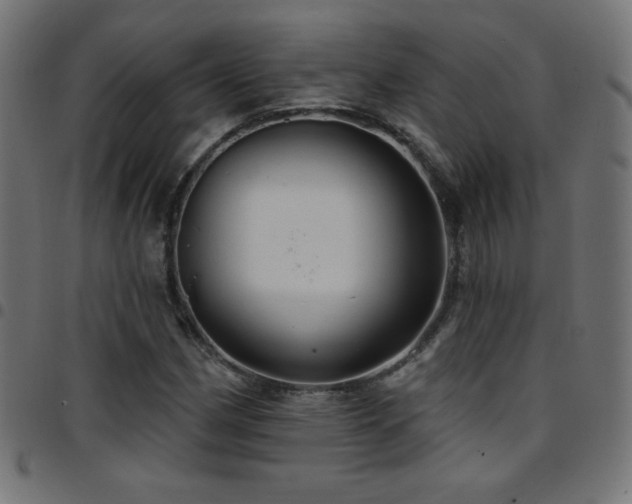 X0000097751162200803071242