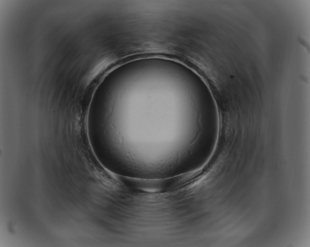 X0000097751163200803071242