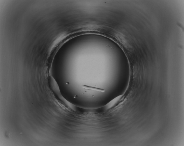 X0000097751164200803071242