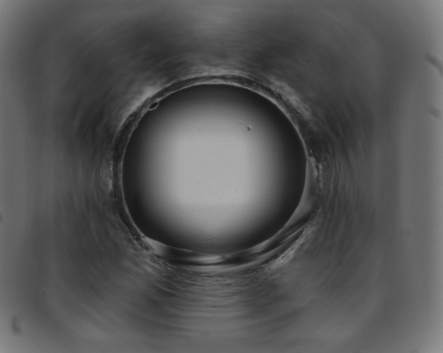 X0000097751165200803071242