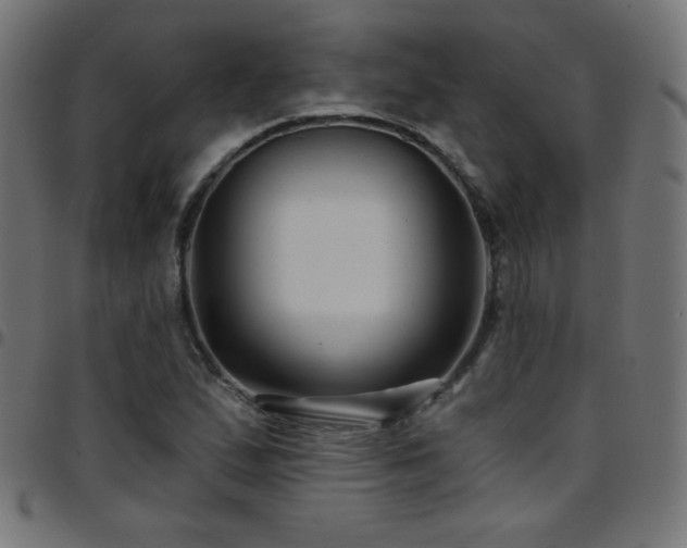 X0000097751167200803071242