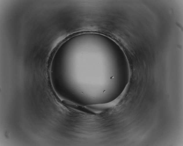 X0000097751168200803071242