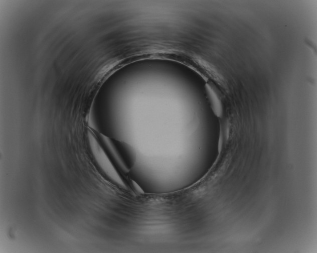 X0000097751169200803071242