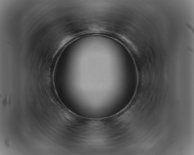 X0000097751170200803071242