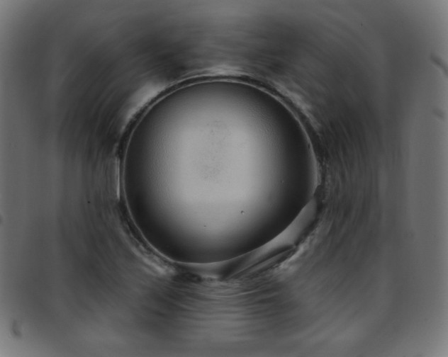 X0000097751171200803071242