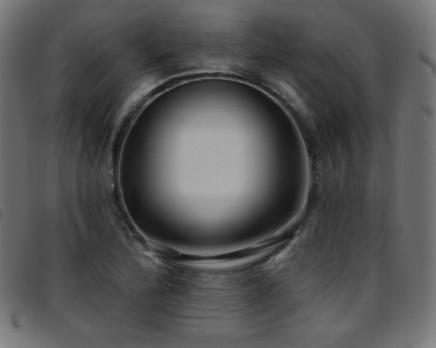 X0000097751172200803071241