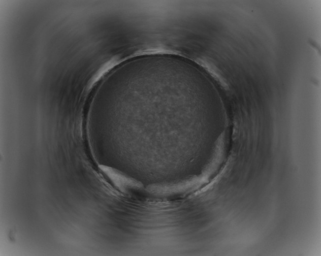 X0000097751173200803071241