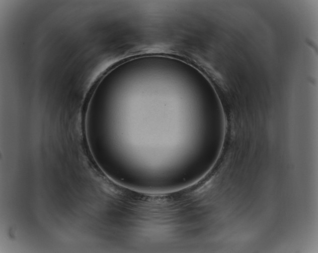 X0000097751174200803071241
