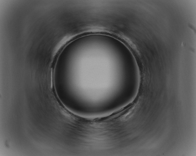 X0000097751175200803071241