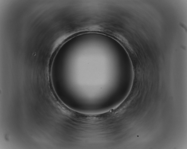 X0000097751176200803071241