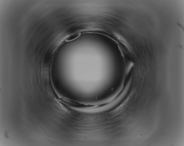 X0000097751177200803071241