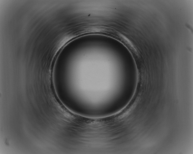 X0000097751178200803071241