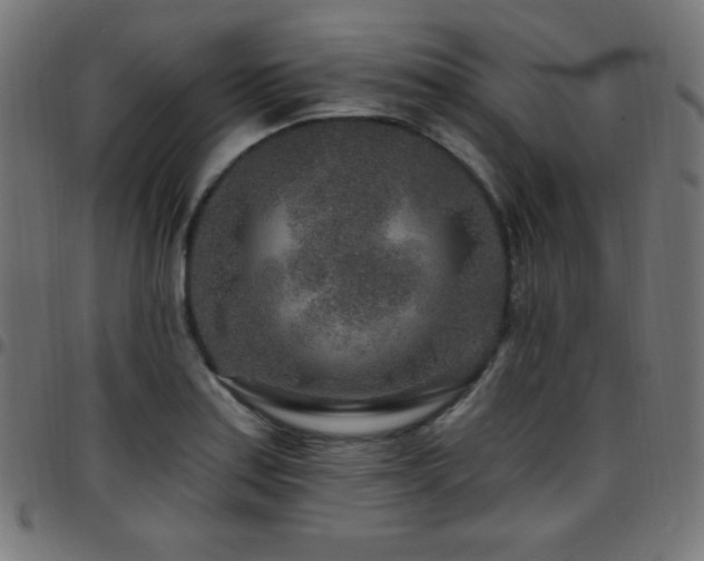 X0000097751179200803071241