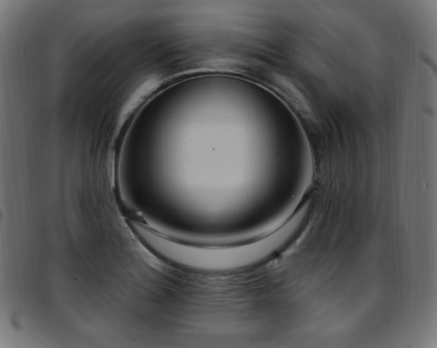 X0000097751180200803071241