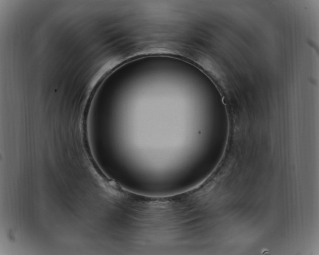 X0000097751181200803071241
