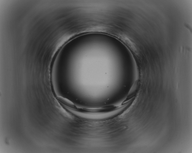 X0000097751184200803071241