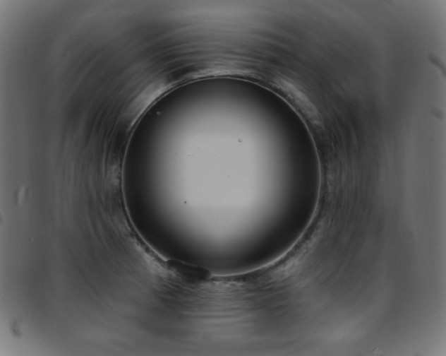 X0000097751185200803071241