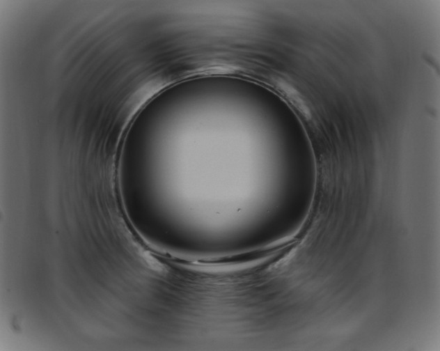 X0000097751186200803071241